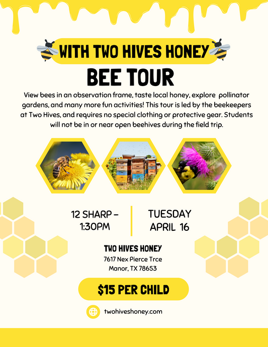 Bee Tour at Two Hives - April 16th